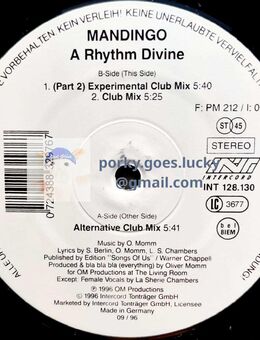 Mandingo – A Rhythm Divine 1999 12" Vinyl Trance - München Bogenhausen