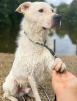 Salix wartet schon so lange - München