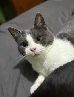 TINA - (jung,tapfer,fröhlich) - Köln