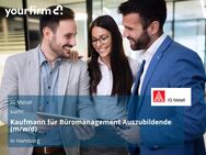 Kaufmann für Büromanagement Auszubildender (m/w/d) - Hamburg