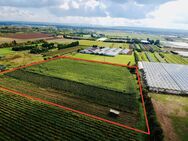 Landwirtschaftliche Fläche in der Gärtnersiedlung - Bornheim (Nordrhein-Westfalen)