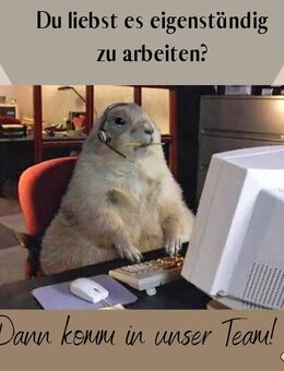 Büro Assistenz (M /W / D) Remote  / Back Office Assistent (M / W / D) - Bad Wimpfen