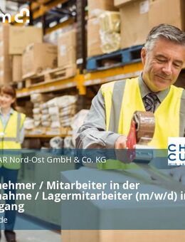 Warenannehmer / Mitarbeiter in der Warenannahme / Lagermitarbeiter (m/w/d) im Wareneingang - Ludwigsfelde
