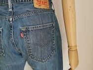 Suche Gay´l Levi´s Jeans W40-44 - Groitzsch