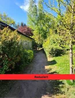Geräumige Parterre-Eigentumswohnung mit eigenem Grundstück und Parkflächen in ruhiger Ortsrandlage - Kaiserslautern