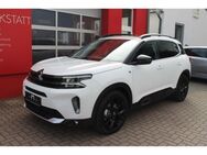 Citroen C5 Aircross Shine Pack Hybrid 225 Dach AHK Navi Shz - Großrudestedt