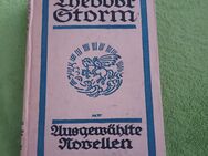 Ausgewählte Rovellen Theodor Storm - Kassel