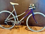 RALEIGH LIMITED MIXTE DAMEN STAHLRAHMEN VINTAGE HALBRENNER - Bielefeld Milse