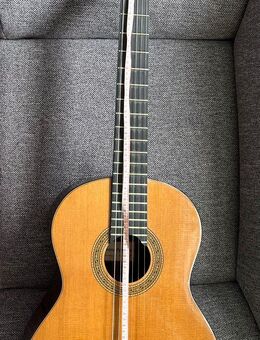 Meister Gitarre Konzertgitarre - Gevelsberg
