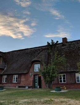 Großzügiges nordfriesisches Reetdachhaus auf der Hallig Langeneß - Langeneß