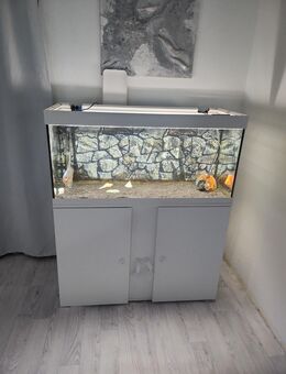 Aquarium 240 l mit Heizer, Außenfilter und Unterschrank in weiß - Bonn