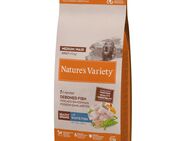 Nature's Variety Healthy Grains Adult Medium/Maxi Weißfisch - 12 kg
