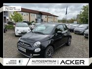 Fiat 500, 1.0 Mild Hybrid Dolcevita 16, Jahr 2023 - Bad Berleburg