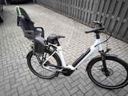 E Bike 14 Monate alt Sinus N8f mit Versicherungsschutz - Gütersloh