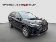 Toyota RAV 4 2.5 VVT-i EU6d - 2,5 l Hybrid 4x2 Lounge - Heidelberg