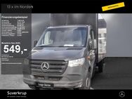 Mercedes Sprinter, 316 Koffer LBW Maxi 4325 MBUX Tem, Jahr 2020 - Kiel