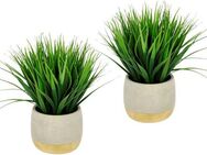 Kunstgras Gras, I.GE.A., Höhe 24 cm, im Zementtopf