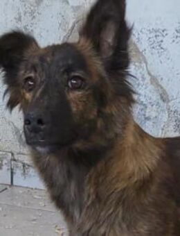 JULE💖sanft & voller Liebe - Hamburg