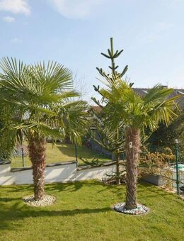 Much: Urlaubsfeeling im eigenen Zuhause ! - Much