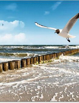 Artland Glasbild Ostsee, Gewässer (1 St), in verschiedenen Größen