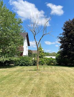 Einfamilienhaus am Schlänger Bach - Schlangen