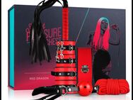 Secret Pleasure Chest – Red Dragon - BDSM - Fetisch - Set - Breckerfeld (Hansestadt) Zentrum