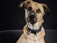 Gibst du Max eine Chance? - München