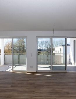 Sonnenblume 2 - modernes Wohnen in Wörnitz - Wörnitz