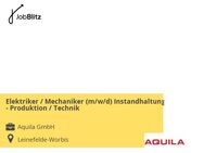 Elektriker / Mechaniker (m/w/d) Instandhaltung - Produktion / Technik - Leinefelde-Worbis
