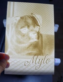 🌟 Individuelles 3D-Druck-Bild im Lithophane-Sti - Schlüchtern
