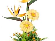 Kunstblume Arrangement Strelitzie/Gerbera, I.GE.A., Höhe 60 cm, Topf aus Keramik