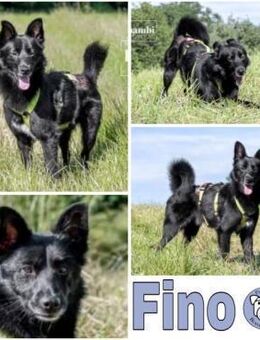 FINO -lebenslustig & aktiv- - Duisburg