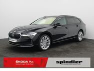 Skoda Superb, 2.0 TDI Combi Selection, Jahr 2024 - Würzburg