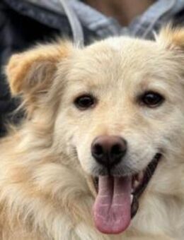 Moli wenns nicht ganz so groß sein sol - Kierspe