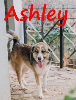 Ashley-verspieltes Mädchen 07/23 GRC - Ruppertsecken
