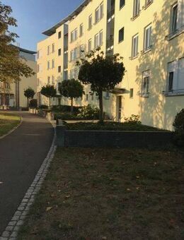 gemütliche Wohnung in Schönefeld- Wehrmathen - Schönefeld