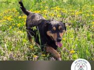 Braveheart: Tapferes Herz - Kirchzell