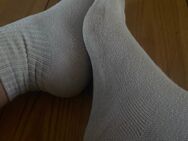 Socken zu kaufen 🦶 - Schwedt (Oder)