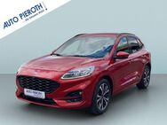 Ford Kuga, 1.5 EcoBoost ST-LINE X, Jahr 2020 - Bingen (Rhein)