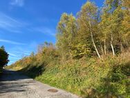 Ruhige Lage und tolle Aussicht! - Altena