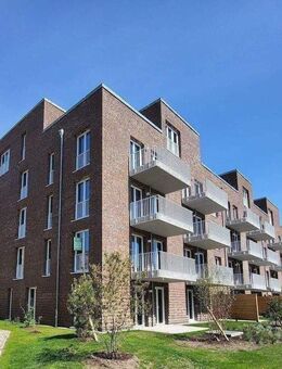 Erstbezug in Schleswig: Lichtdurchflutete Neubauwohnung mit Wohlfühlcharakter - Schleswig