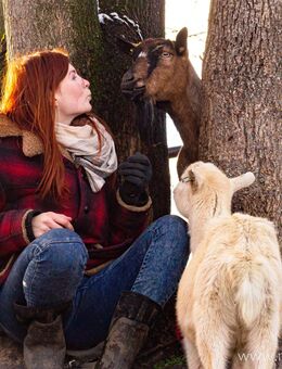 Ziegenwanderung mit Glühwein & Keksen, bei Dresden - Liebstadt