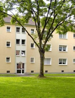 Nur noch Möbel rein in Duisburg Wanheimerort - Duisburg