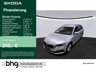 Skoda Octavia, 2.0 TDI Combi Ambition Octavia Combi Amb, Jahr 2020 - Reutlingen