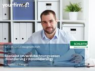 Spezialist (m/w/d) Rechnungswesen (Bilanzierung / Konsolidierung) - Waldshut-Tiengen