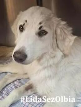 TEMPESTINA - sie hat Glück gehabt - Regensburg