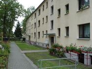 Sanierte 3-Raum Wohnung in ruhiger Lage am Waldrand - Königsbrück