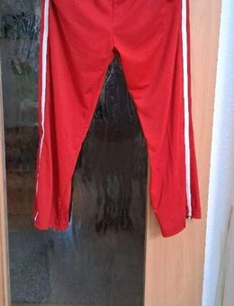 Rehahose/Sporthose für Damen &Herren Gr M - Görlitz