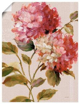 Artland Wandbild Harmonische Hortensien, Blumen (1 St), als Leinwandbild, Poster in verschied. Größen
