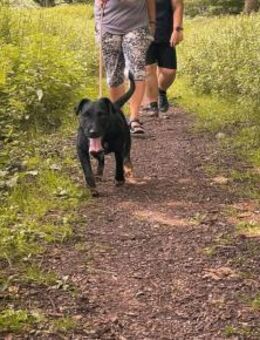 STRUPPI - total auf Menschen fixiert - Overath